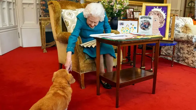 Precio de perros corgis alcanza récord tras muerte de la reina