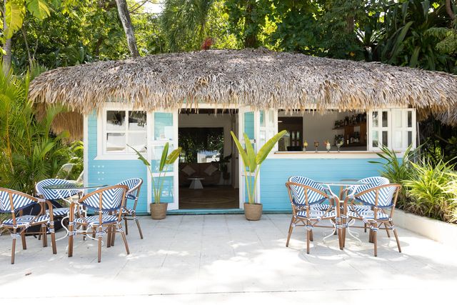 Bar de techo de cana rodeado de palmeras en Viva Heavens