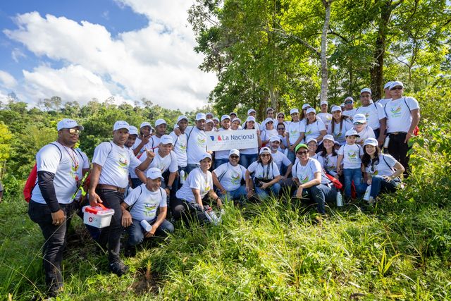 Colchonería La Nacional realiza tercera jornada de reforestación