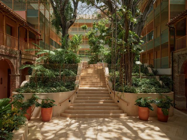 Patio interior con vegetación del hotel Kimpton Las Mercedes