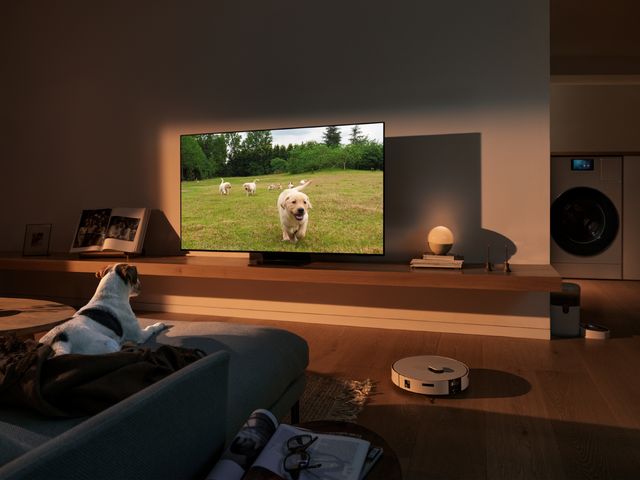 Sala con televisor Samsung encendido, un perro en el sofá y una aspiradora robot en el piso
