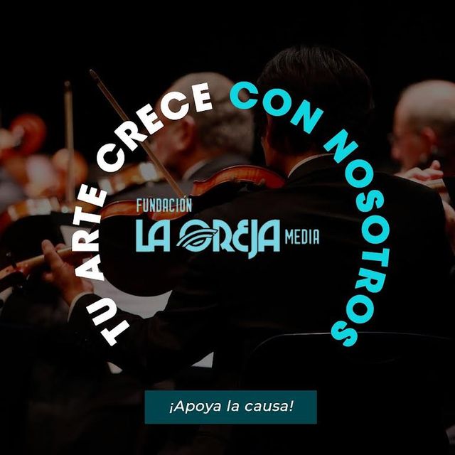 La Fundación La Oreja Media Inc. nace con la visión de hacer crecer el arte nacional