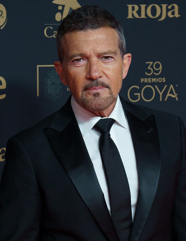 Antonio Banderas en la alfombra roja de los Premios Goya 2025 en Granada