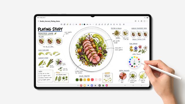 Boceto de un plato de comida hecho con el S Pen en la Galaxy Tab S12