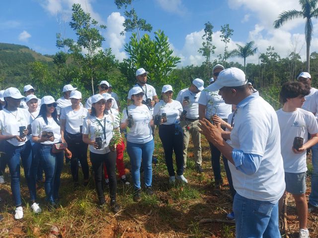Reid & Compañía, S. A. apoya al medio ambiente con programa Somos Verde