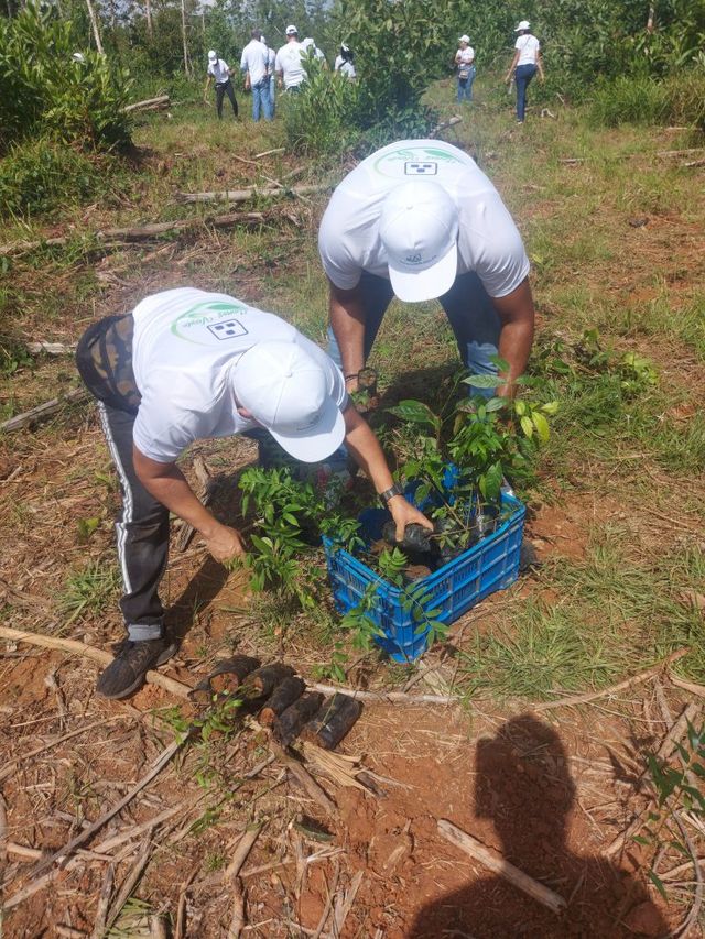 Reid & Compañía, S. A. apoya al medio ambiente con programa Somos Verde