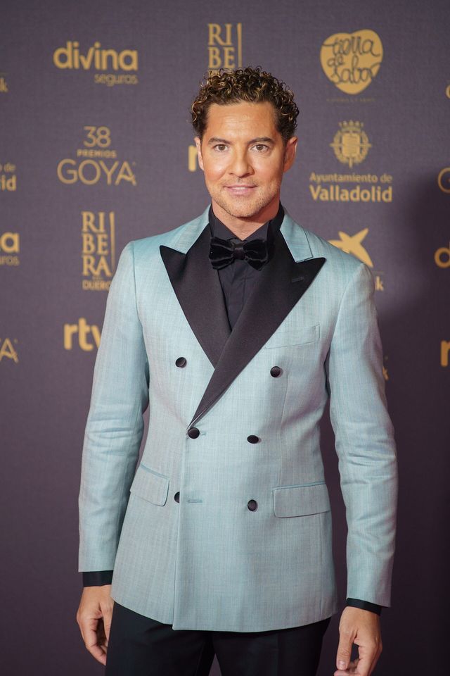 David Bisbal posa en la alfombra roja de los Premios Goya 2024 en Valladolid
