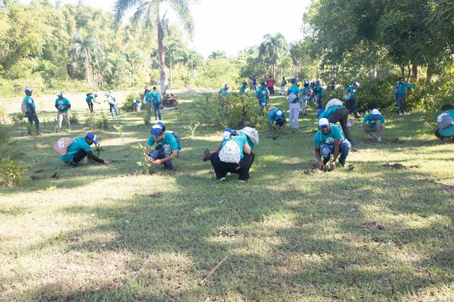 Voluntarios siembran plántulas en un terreno de El Talado, Monte Plata